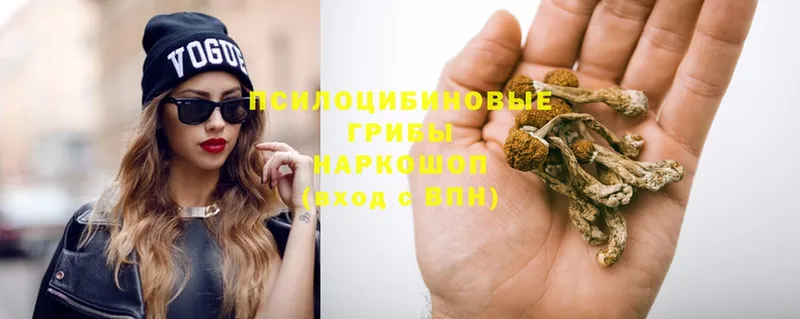 Галлюциногенные грибы Magic Shrooms  ссылка на мегу сайт  Нефтекамск 